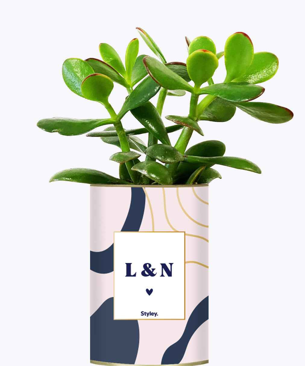 Initiales personnalisables - Cactus