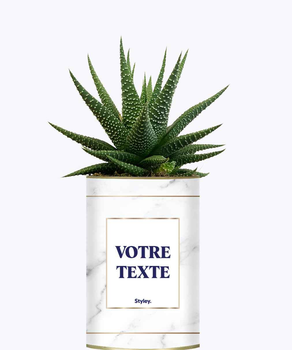 Cactus Marbre - Personnalisable