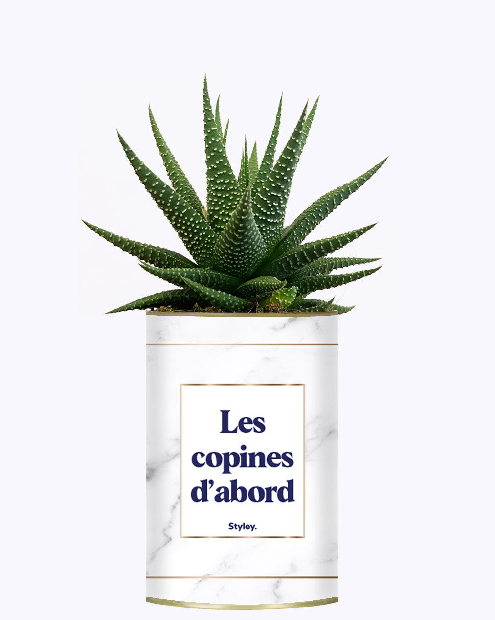Les copines d'abord - Plante grasse
