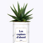 Les copines d'abord - Plante grasse