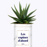 Les copines d'abord - Plante grasse
