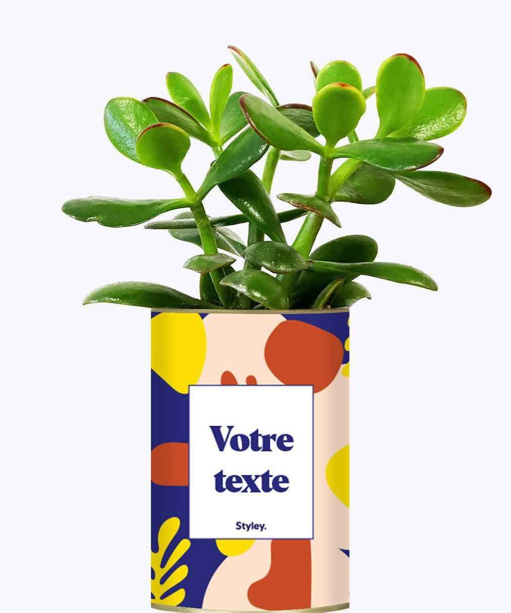 Cactus Josiane - Personnalisable