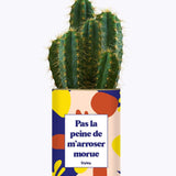 Pas la peine de m'arroser morue - Cactus