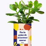 Pas la peine de m'arroser morue - Cactus