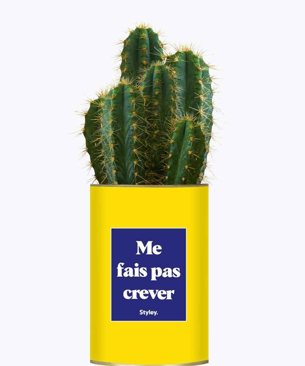 Me fais pas crever - Cactus