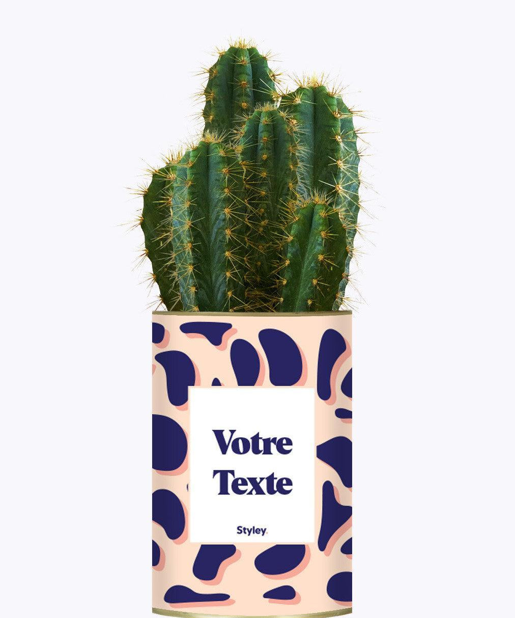 Cactus Léon - Personnalisable