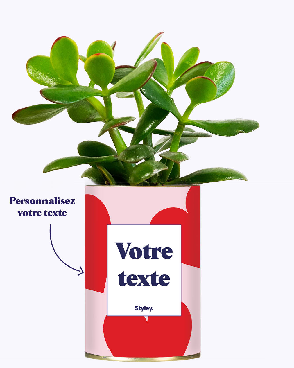 Beauté - Plante personnalisable