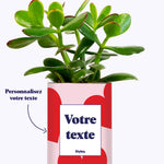 Beauté - Plante personnalisable