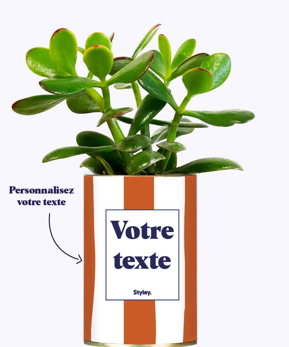 Rayures Terracotta - Plante personnalisable