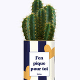 J'en pique pour toi - Plante