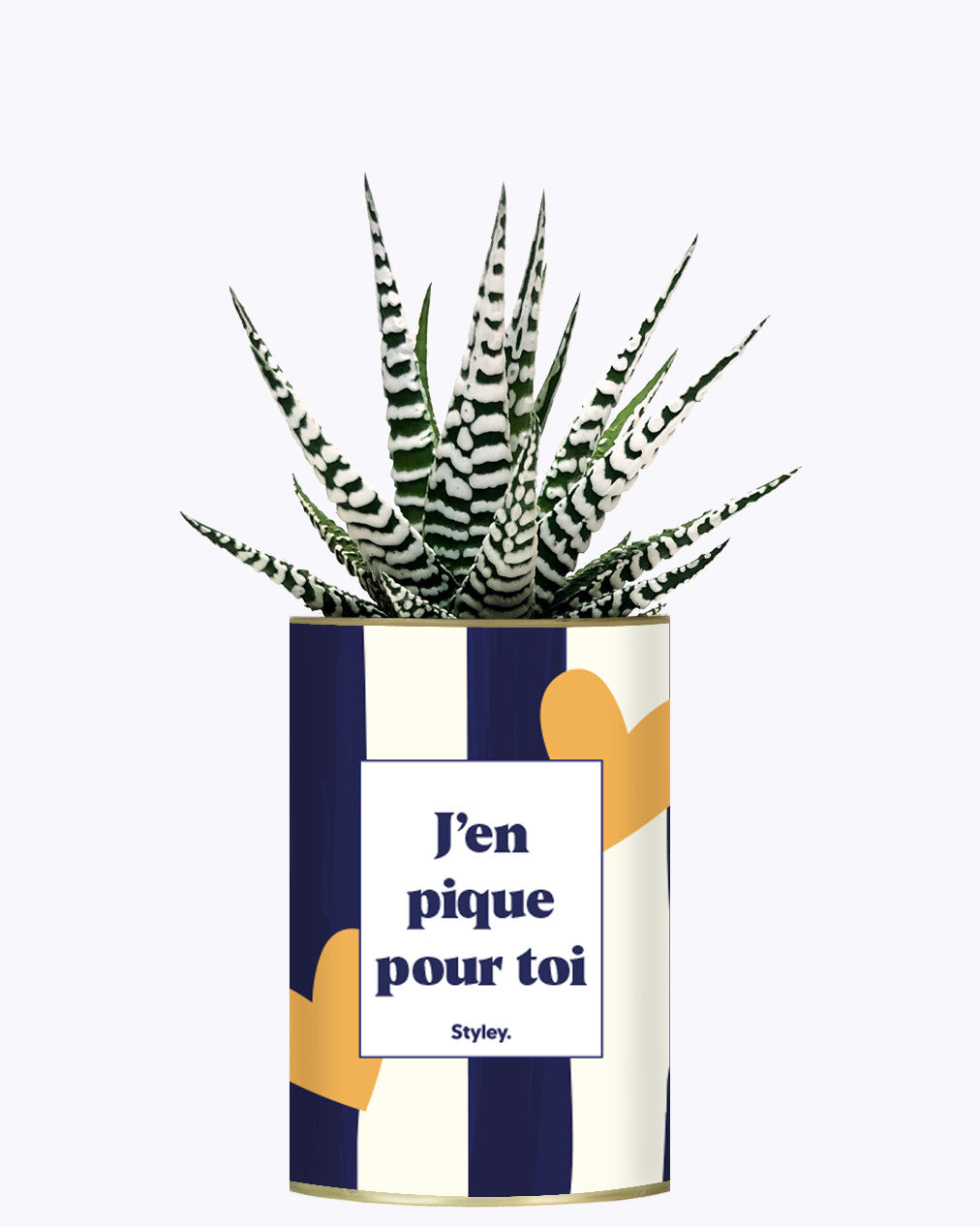 J'en pique pour toi - Plante
