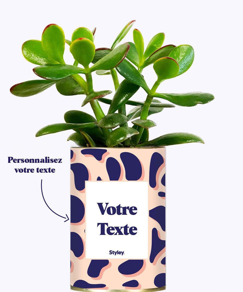 Cactus Léon - Personnalisable