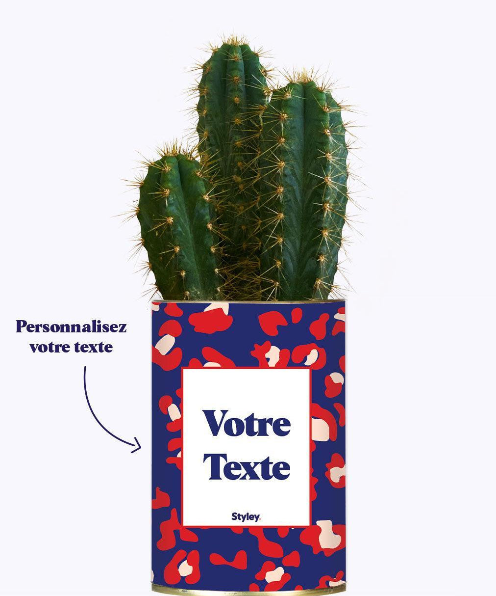 Cactus Lison - Personnalisable