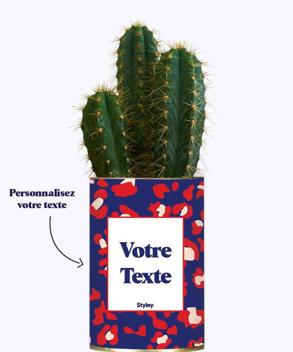 Cactus Lison - Personnalisable