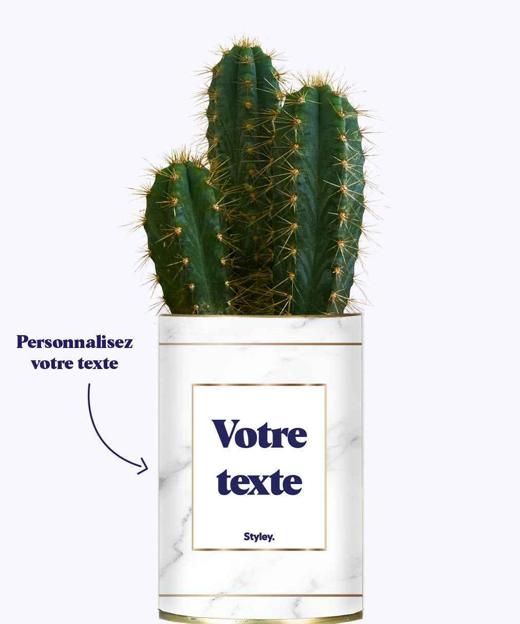 Cactus Marbre - Personnalisable