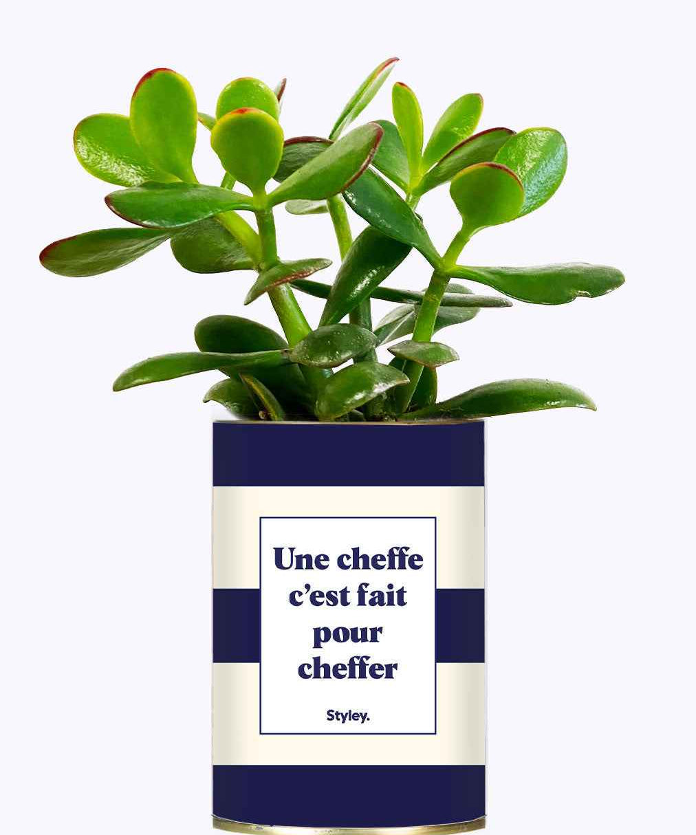 Une cheffe c'est fait pour cheffer - Cactus