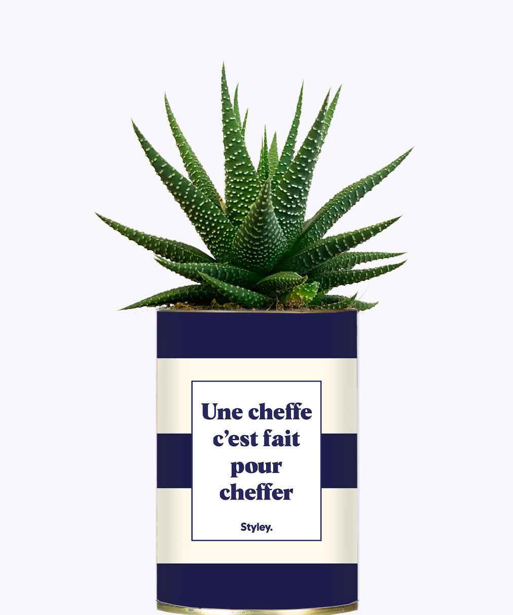 Une cheffe c'est fait pour cheffer - Cactus