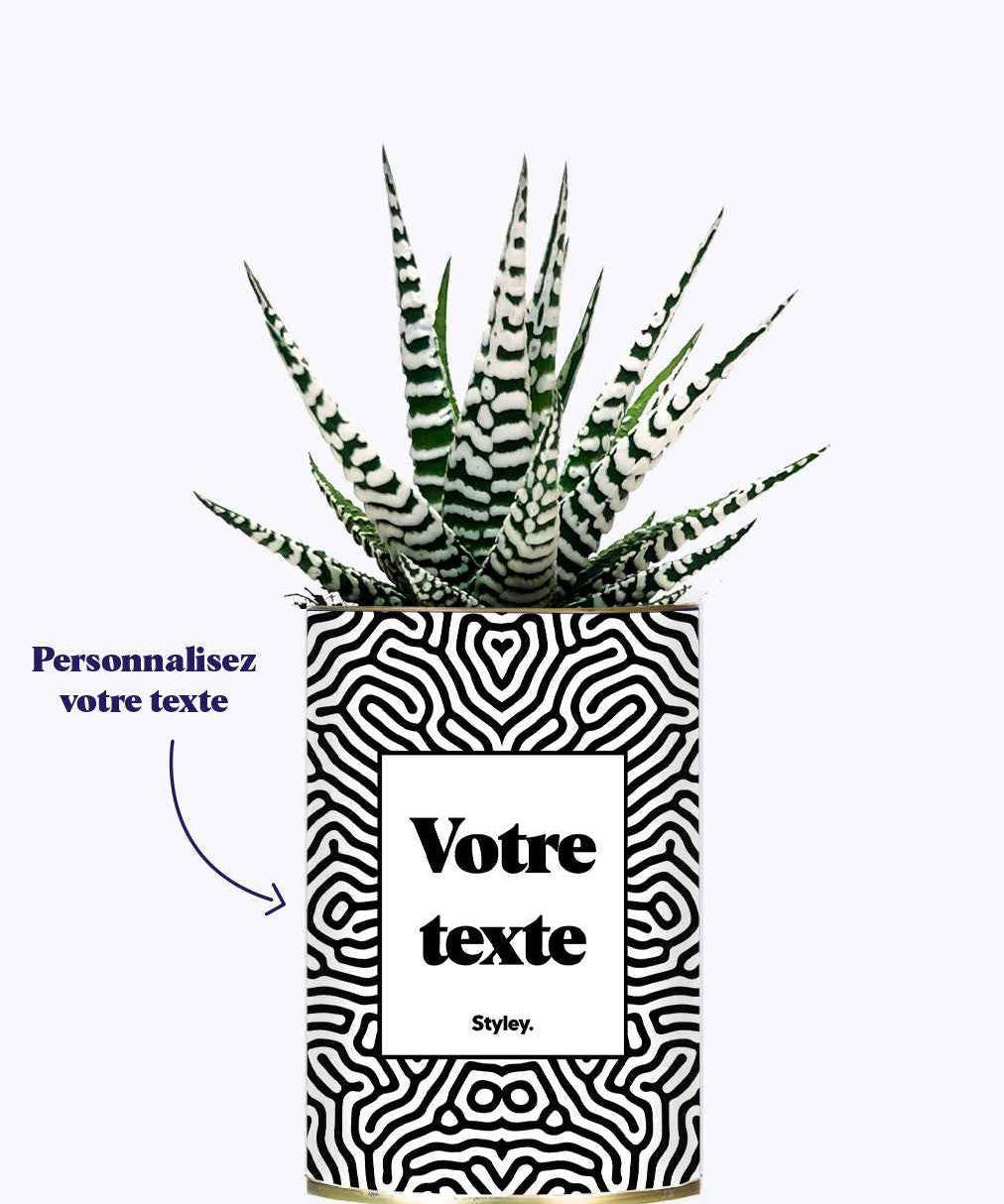 Cactus Nuance - Personnalisable