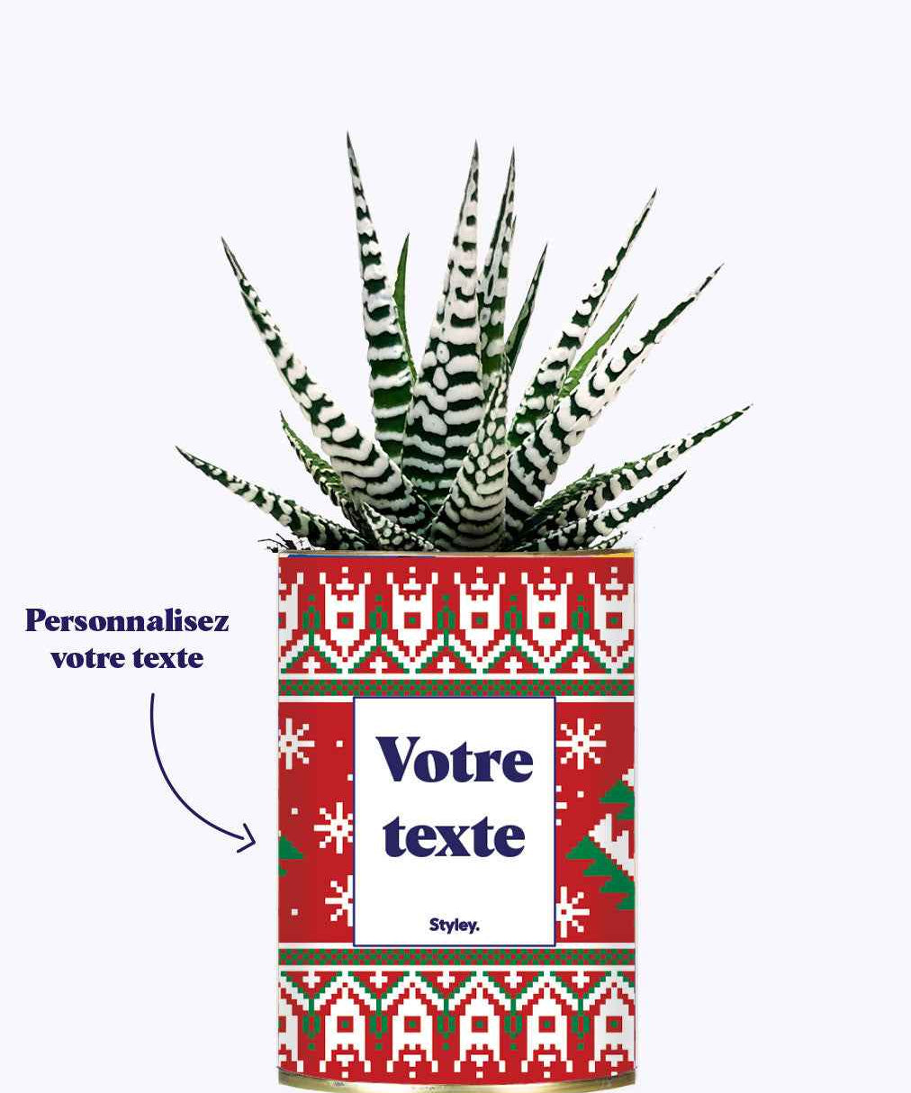Mon cactus moche de Noël personnalisable - Cactus