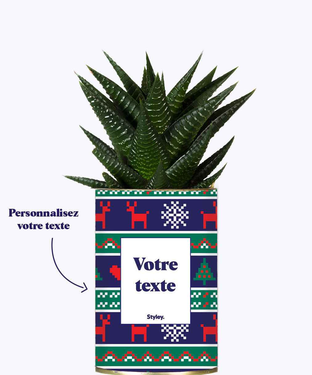 Plante de Noël Personnalisable - Cactus