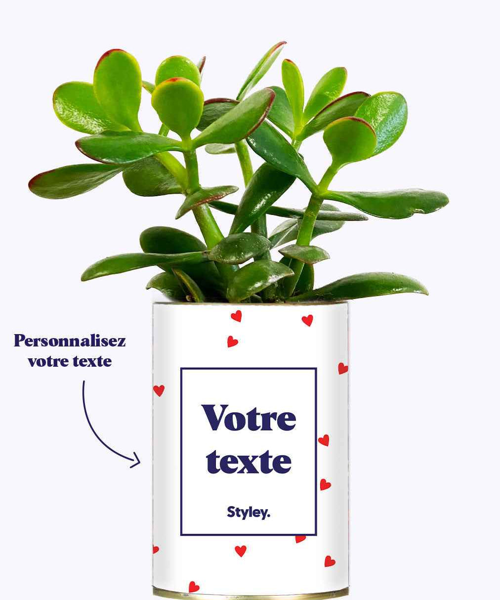 Plante Coup de foudre personnalisable - Cactus