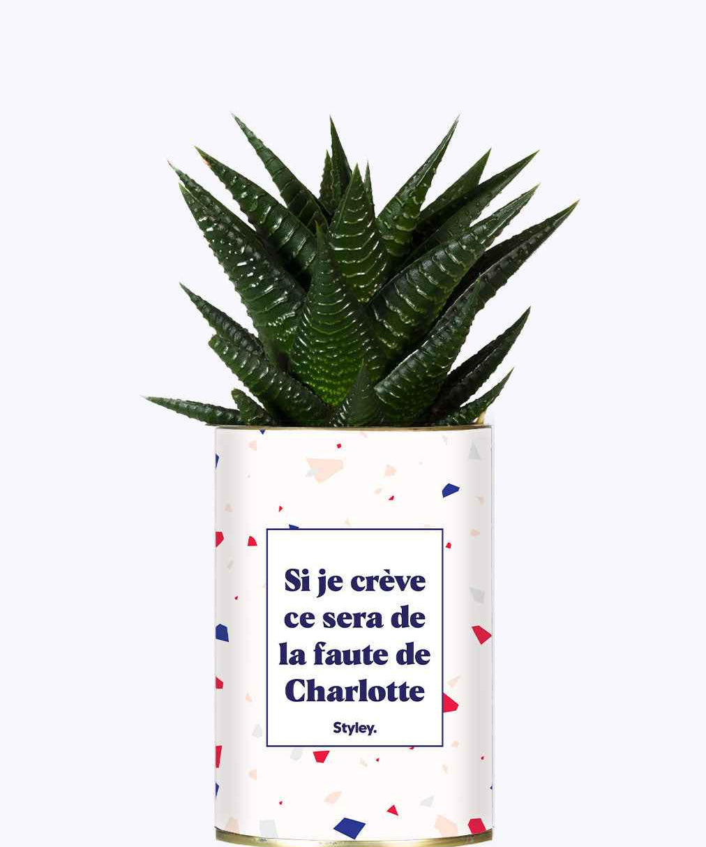 Si je crève personnalisable - Cactus