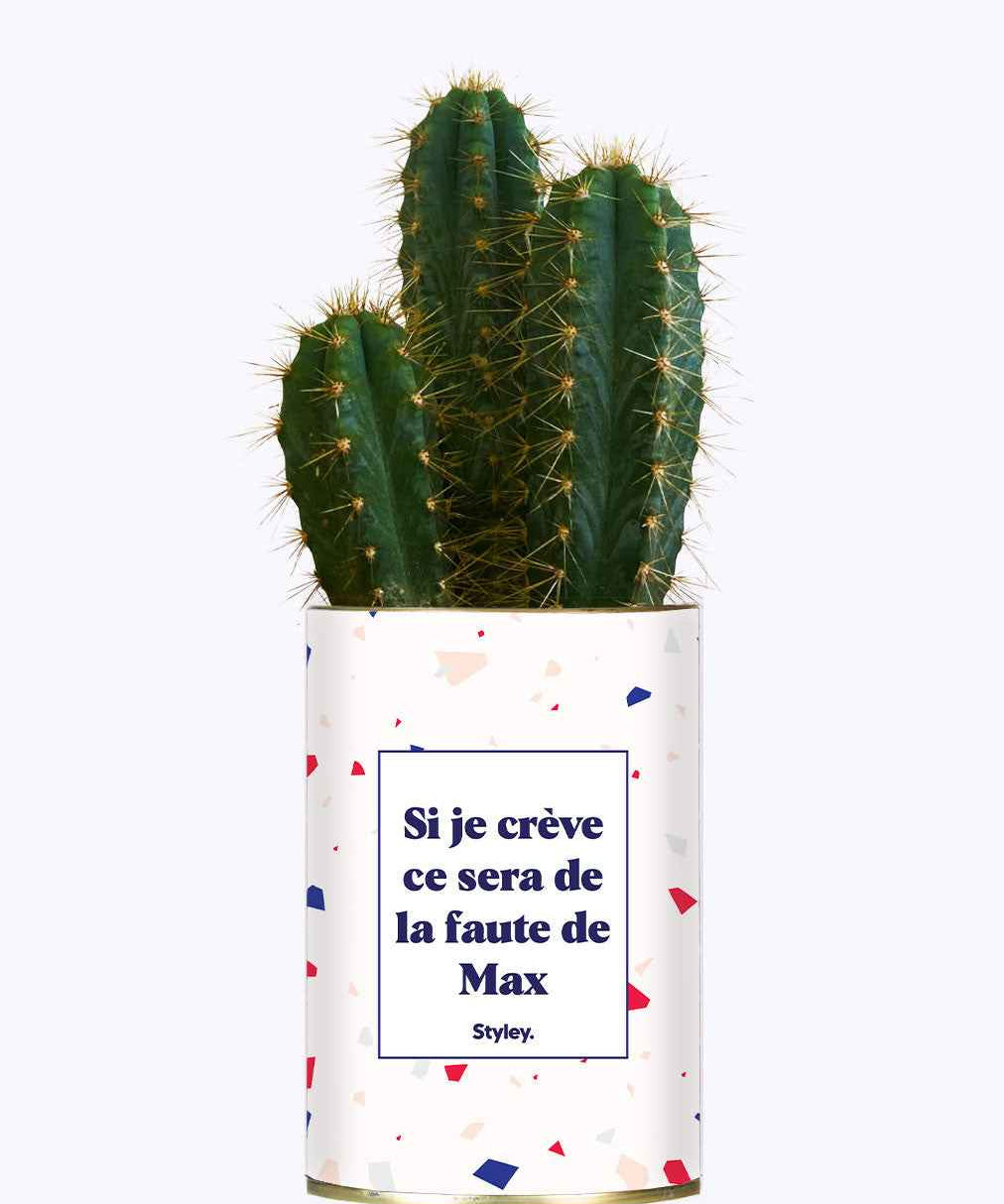 Si je crève personnalisable - Cactus