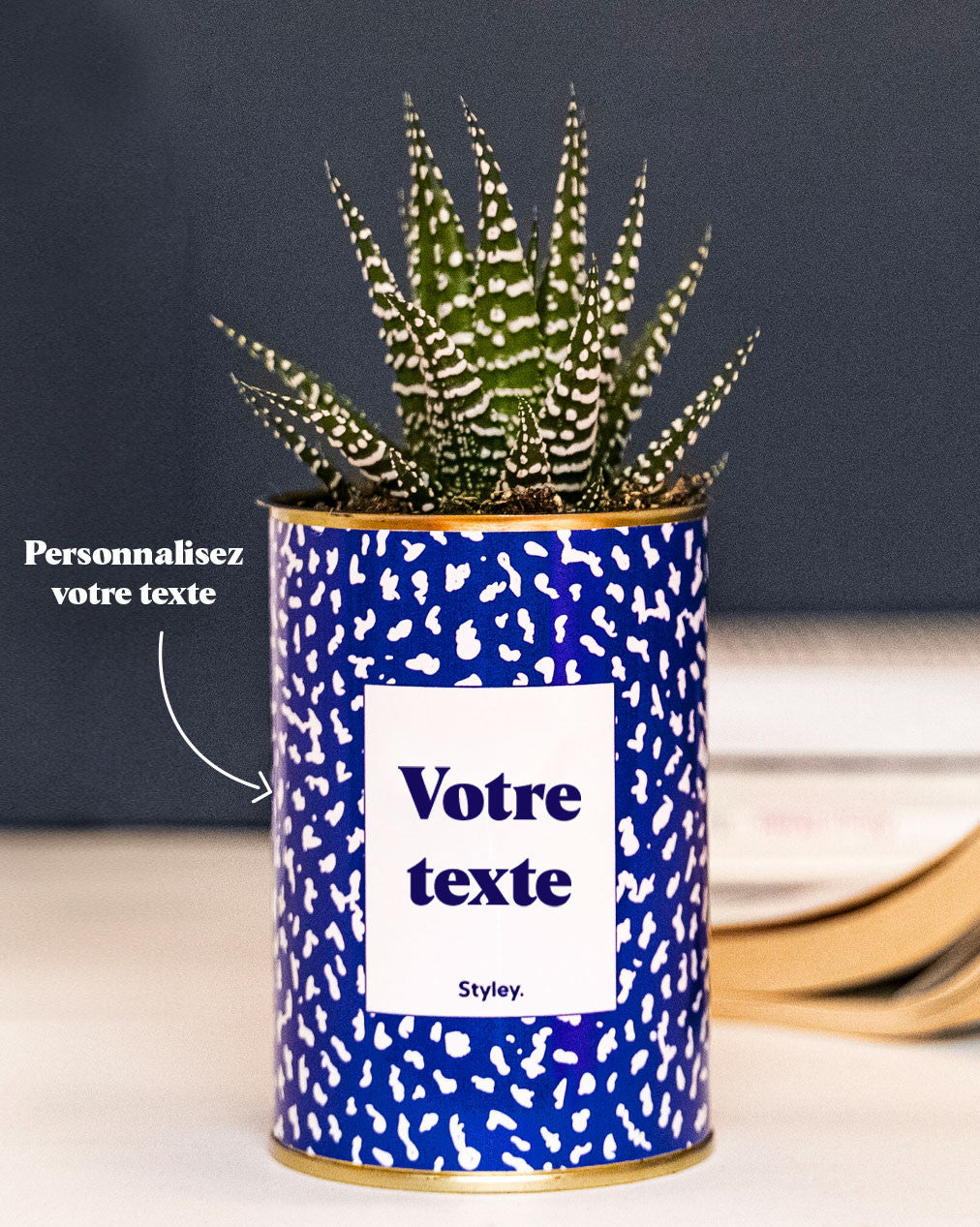 Cactus moucheté - Personnalisable