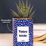 Cactus moucheté - Personnalisable
