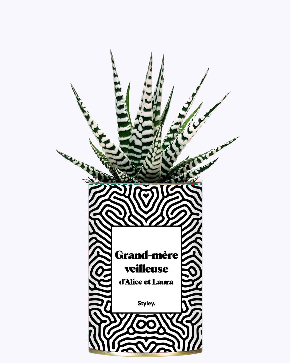 Grand-mère personnalisable - Cactus