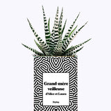 Grand-mère personnalisable - Cactus