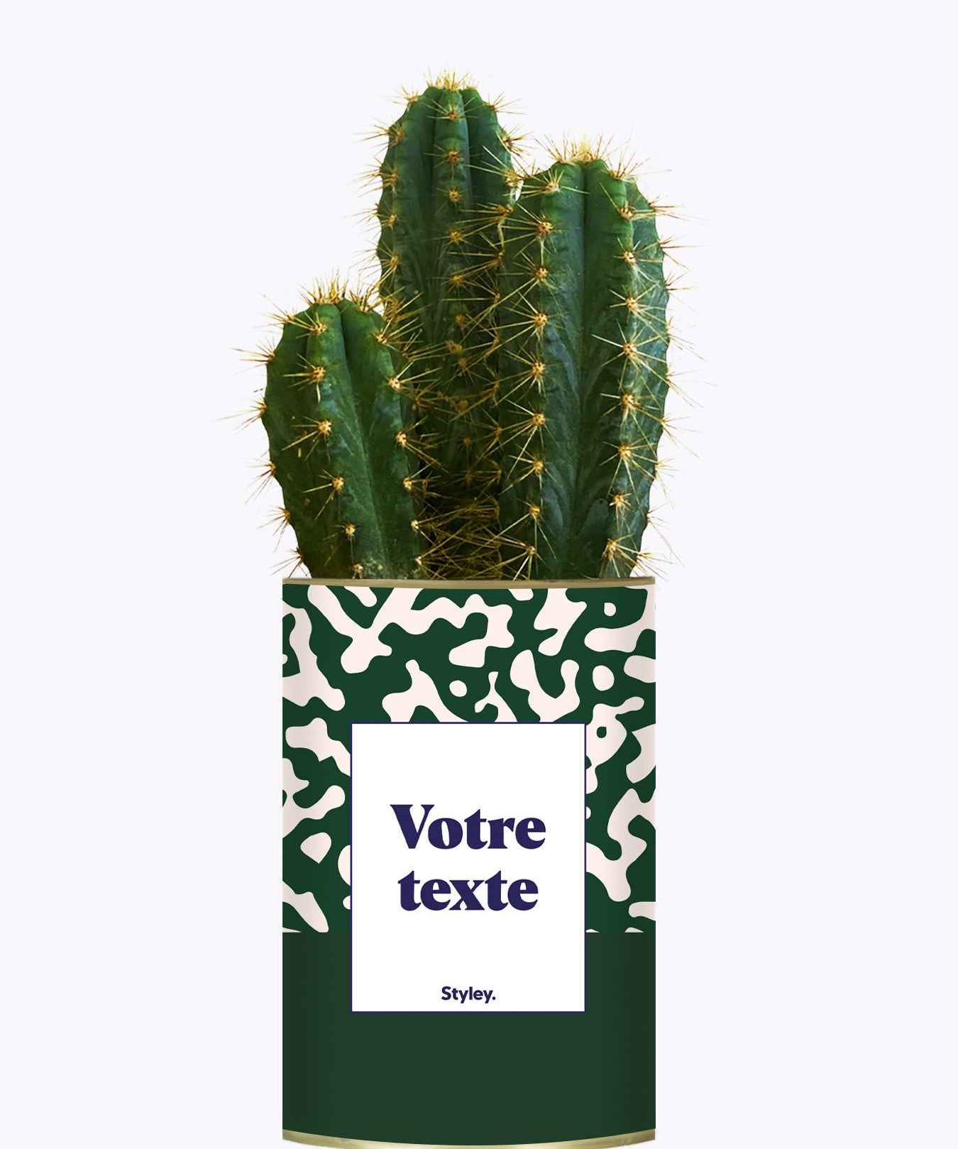 Pattern vert - Plante personnalisable