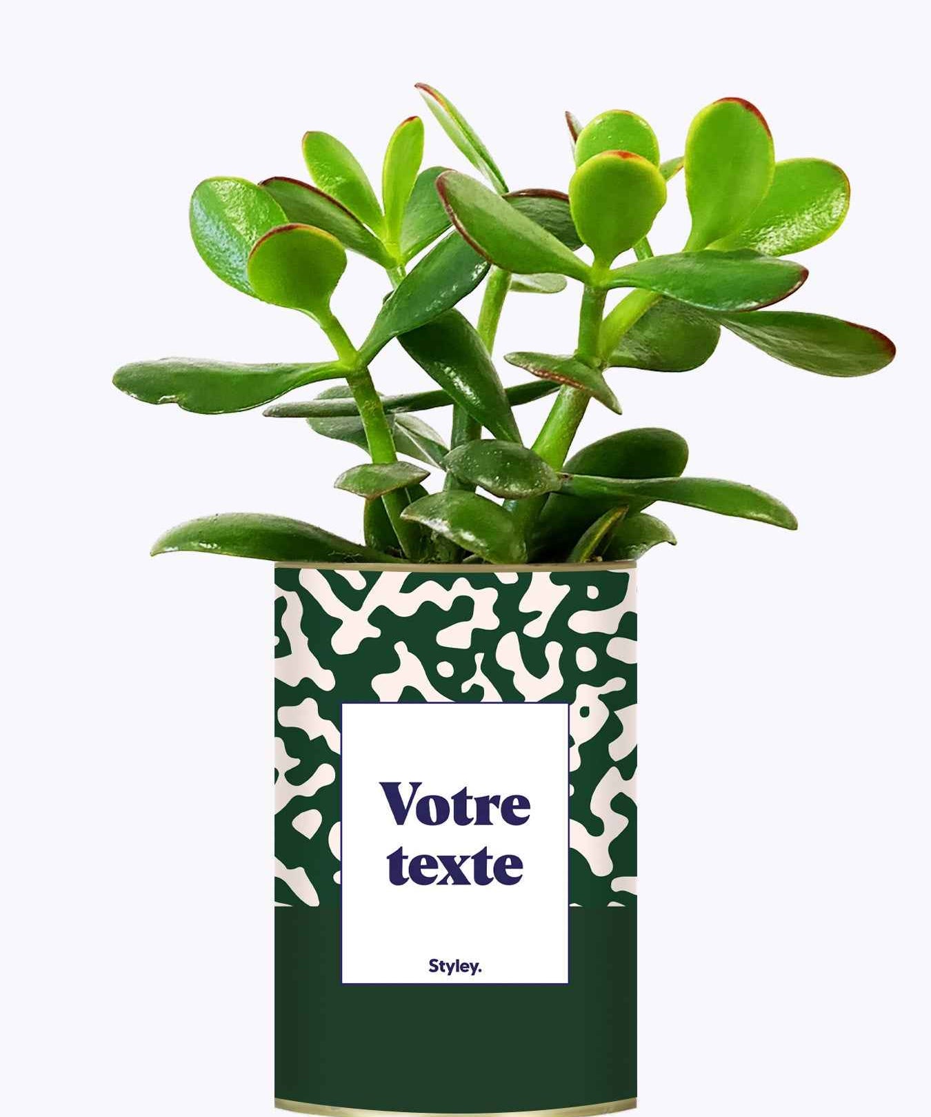 Pattern vert - Plante personnalisable