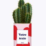 Beauté - Plante personnalisable