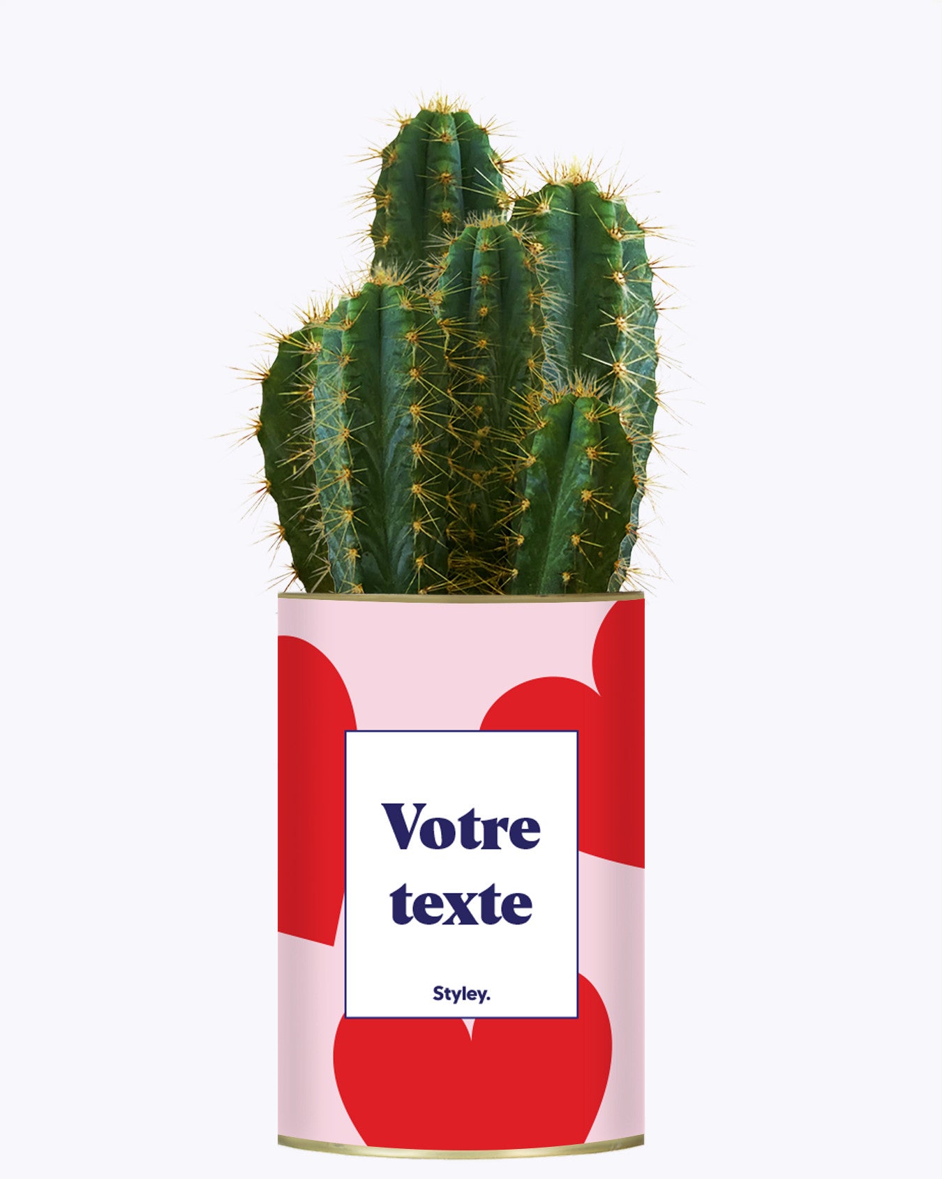 Beauté - Plante personnalisable