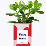 Beauté - Plante personnalisable