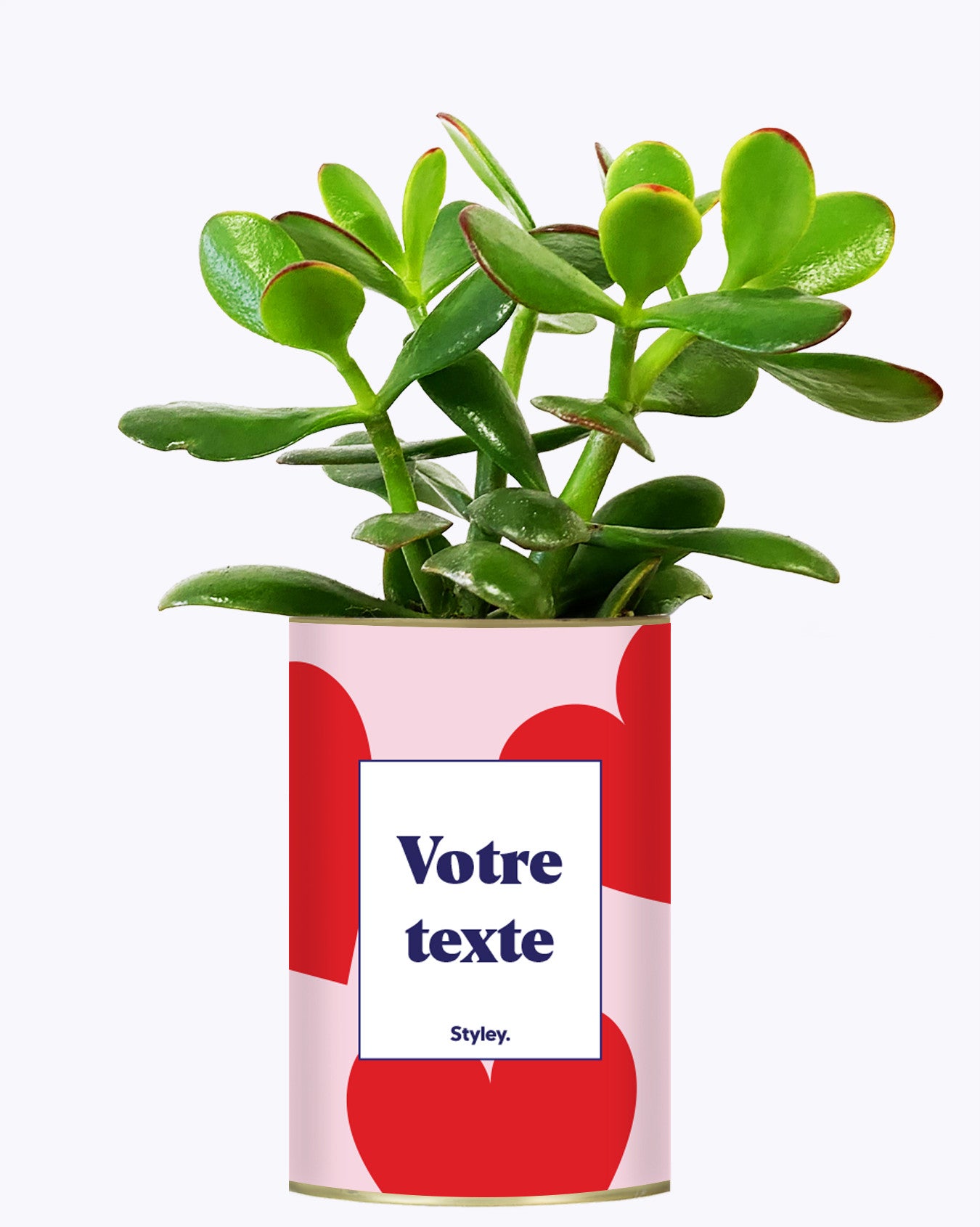 Beauté - Plante personnalisable