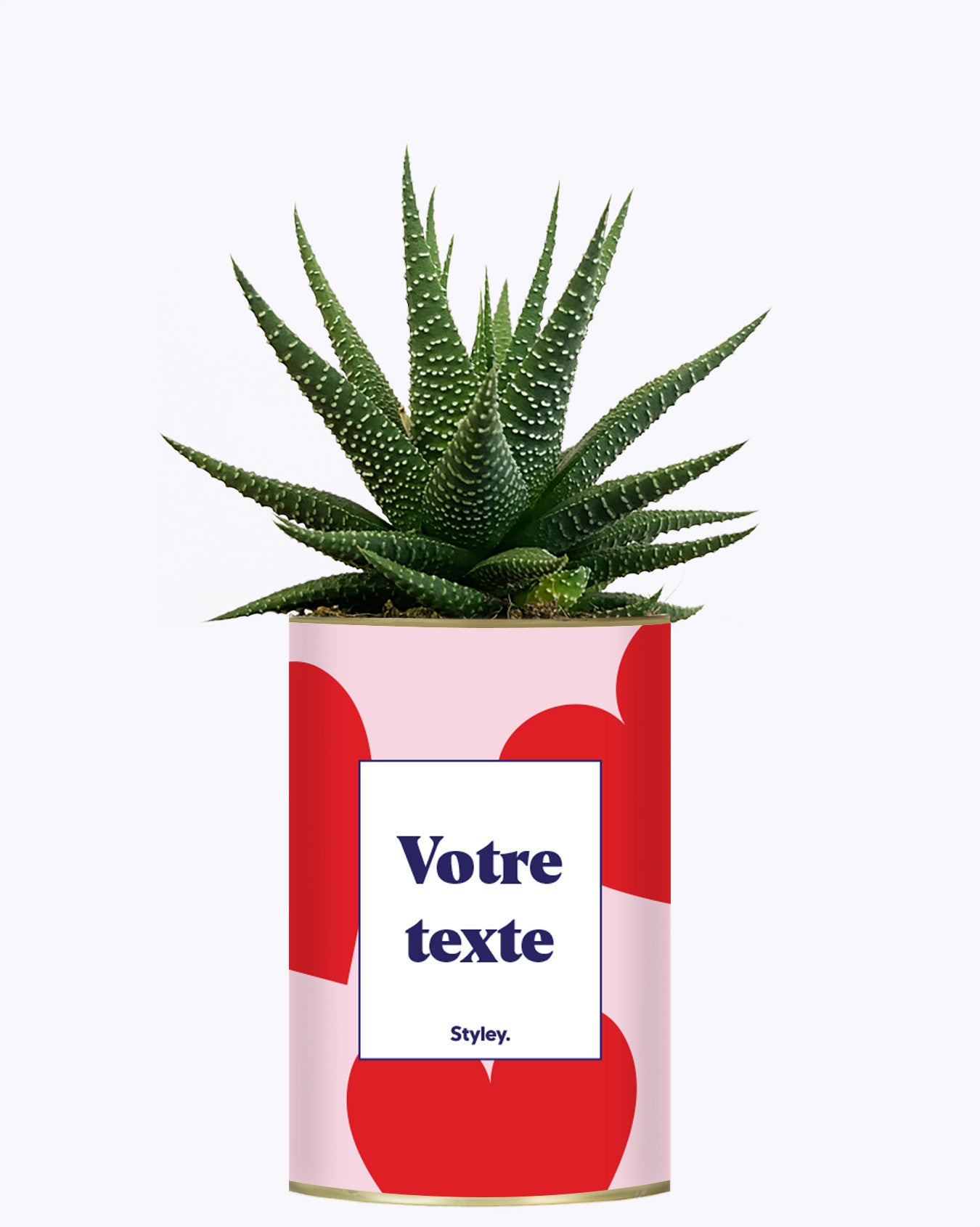 Beauté - Plante personnalisable