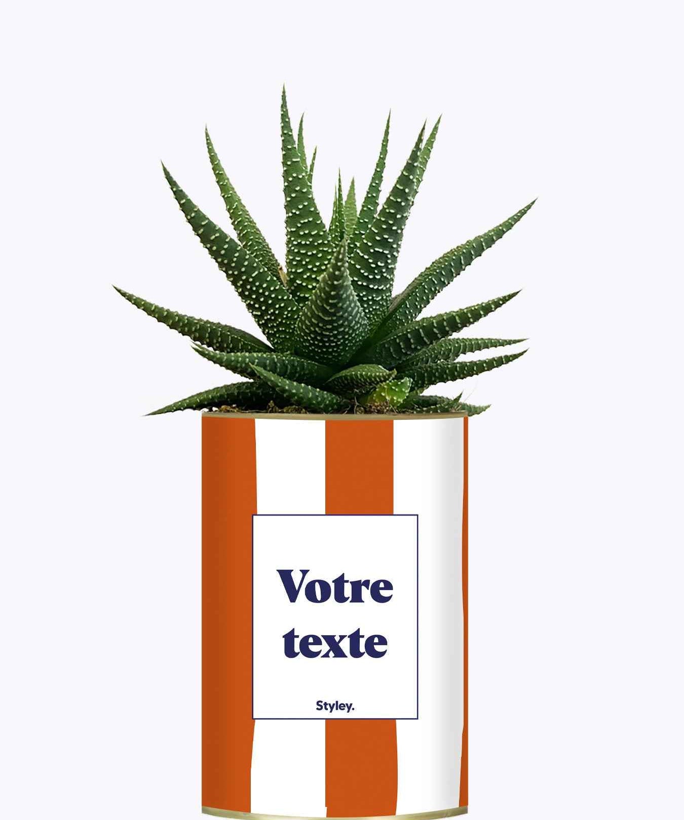 Rayures Terracotta - Plante personnalisable