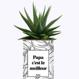 Papa c'est le meilleur - Cactus