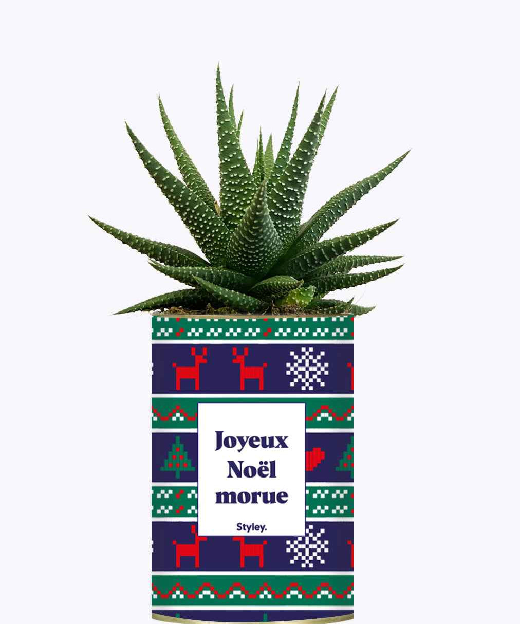 Joyeux Noël Morue - Cactus