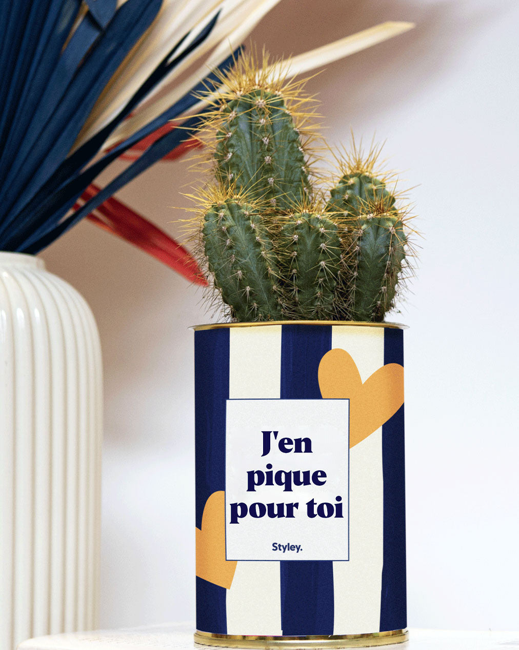 J'en pique pour toi - Plante