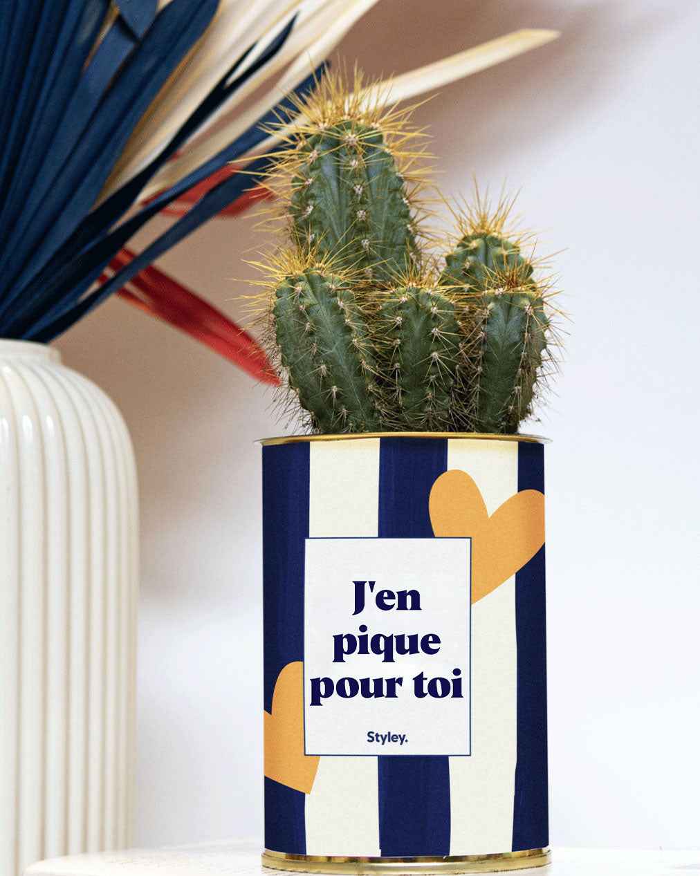J'en pique pour toi - Plante