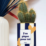 J'en pique pour toi - Plante