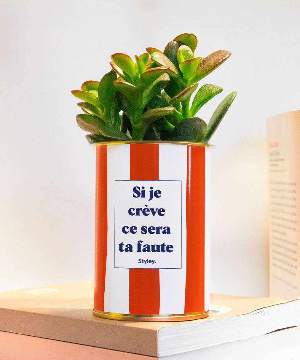 Si je crève ce sera ta faute - Plante