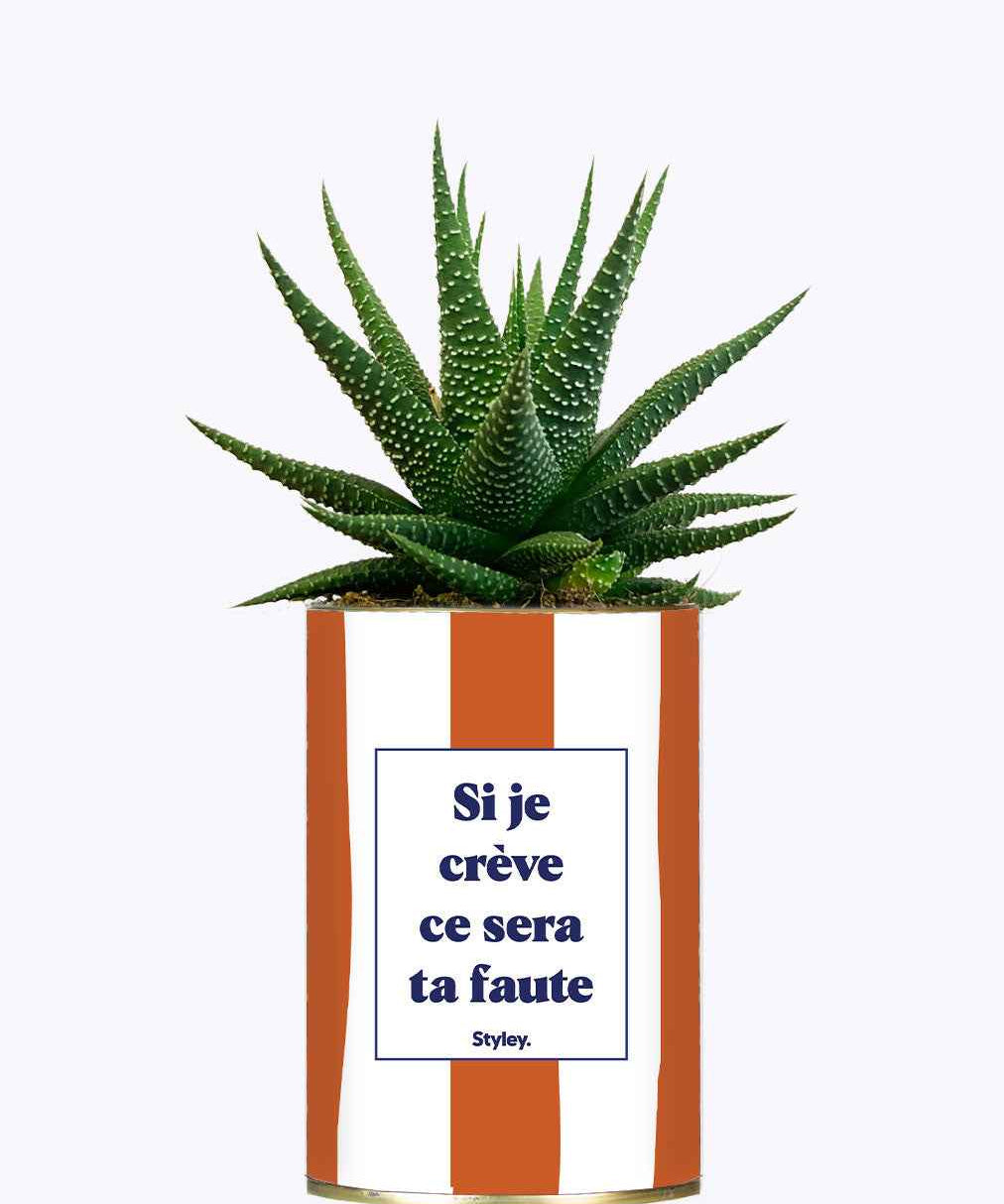 Si je crève ce sera ta faute - Plante