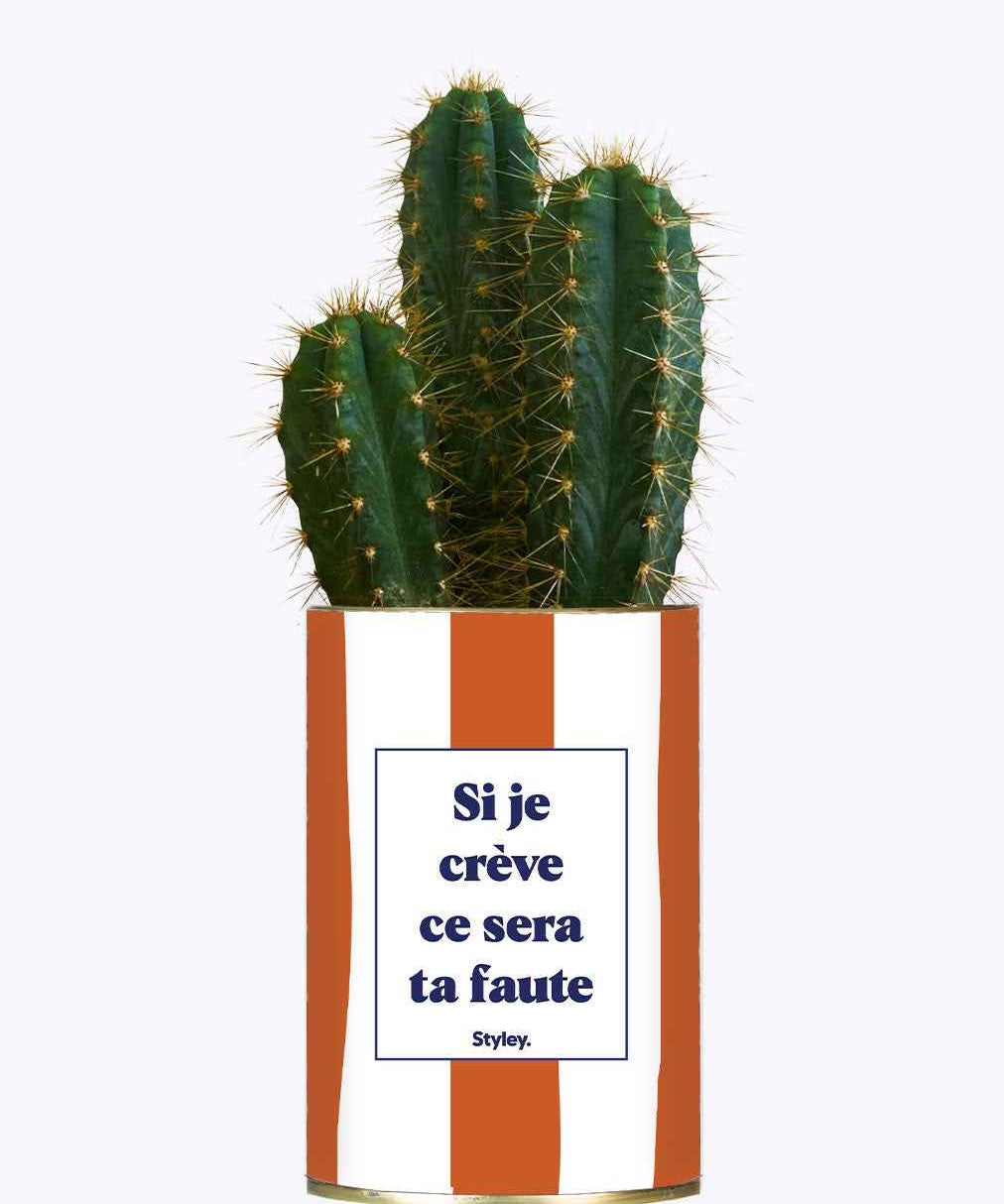 Si je crève ce sera ta faute - Plante