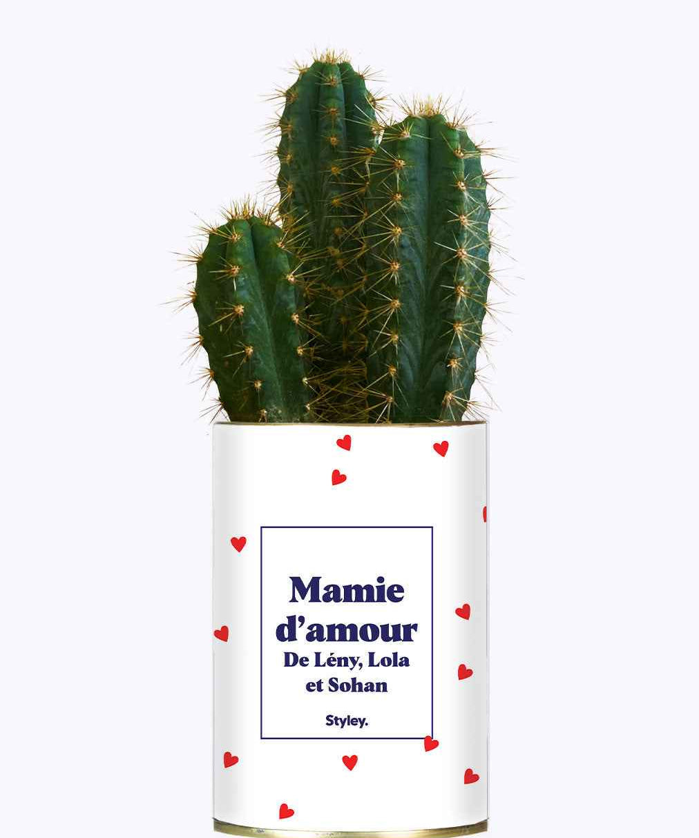 Mamie d'amour personnalisable - Cactus