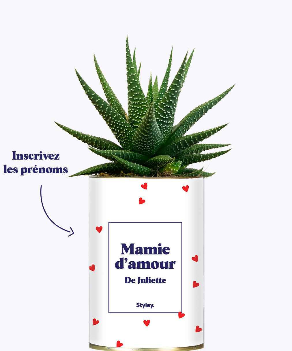 Mamie d'amour personnalisable - Cactus