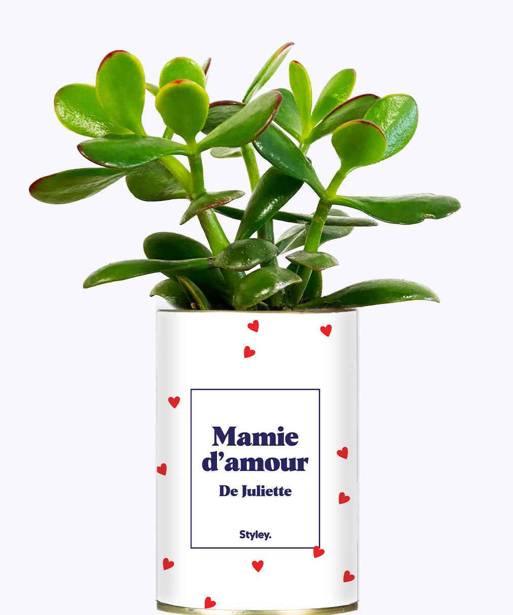 Mamie d'amour personnalisable - Cactus
